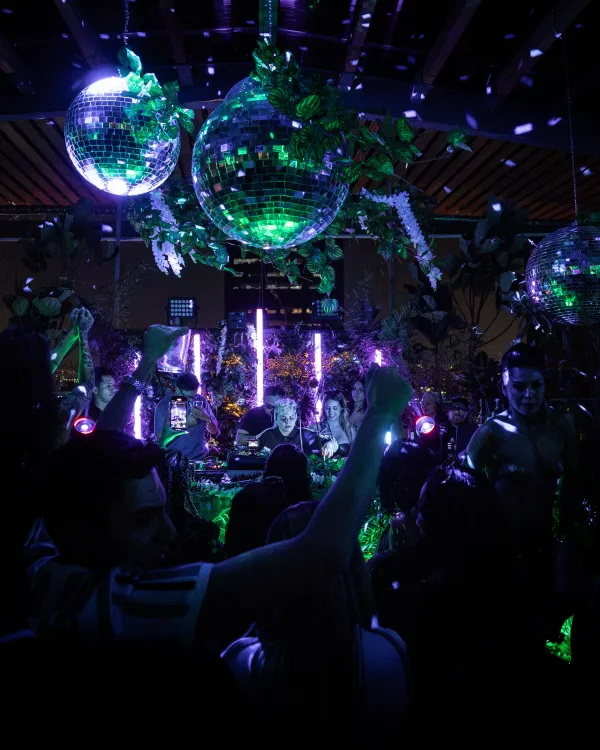 FAUNNA ROOFTOP venue