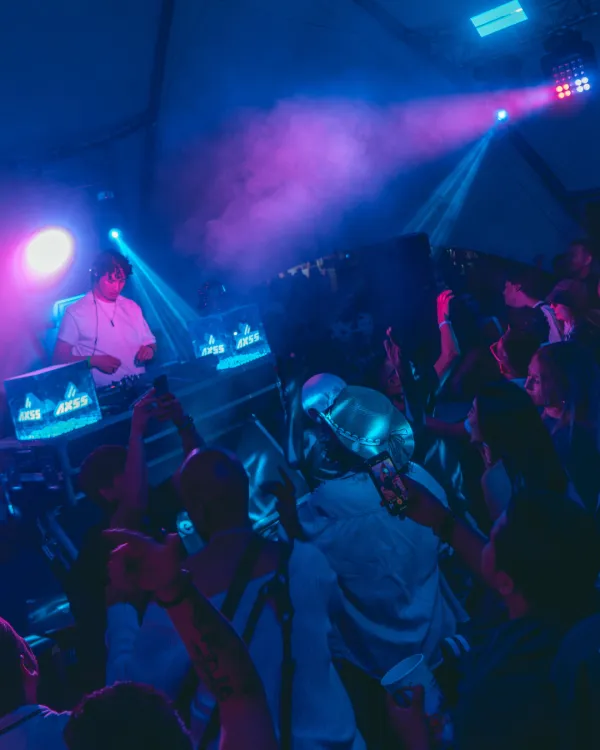 Rabbit & Friends: Rumble Rave