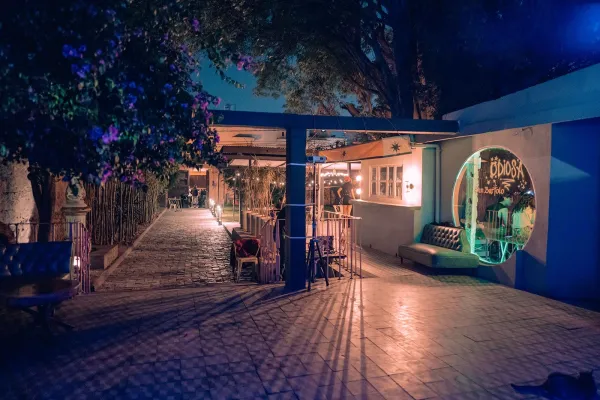 DIENTE DE LEÓN venue