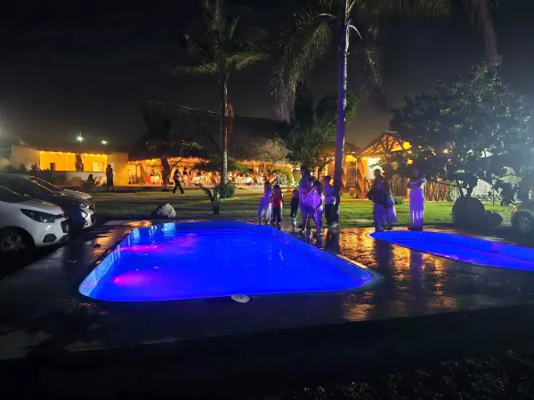 DYSTOPIA POOL PARTY 2.0.