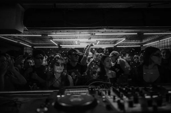 Diente de León venue