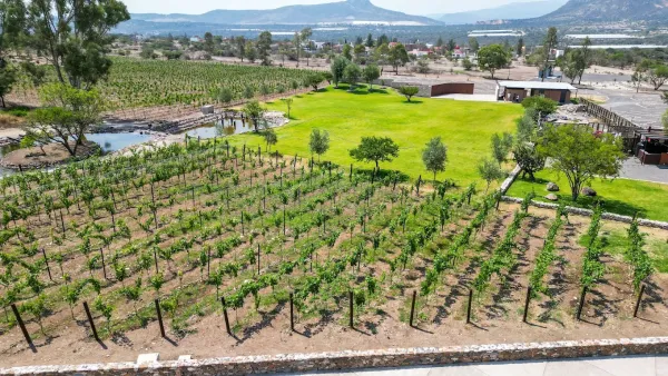 Bodegas Vaivén venue