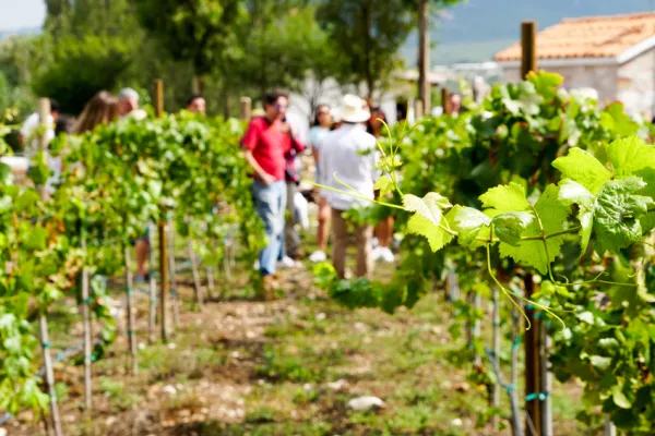 Bodegas Vaivén venue
