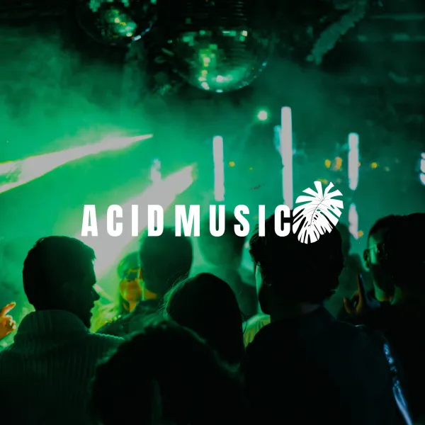 ACID MUSIC