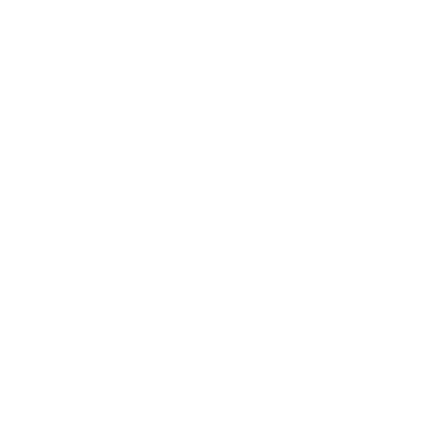 Safari Night