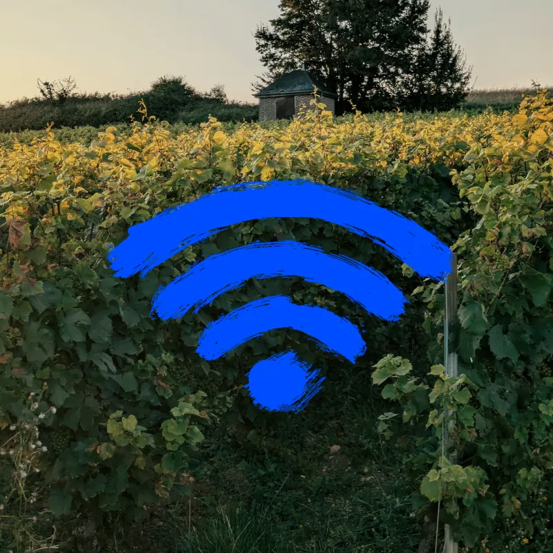 Areas Free WiFi