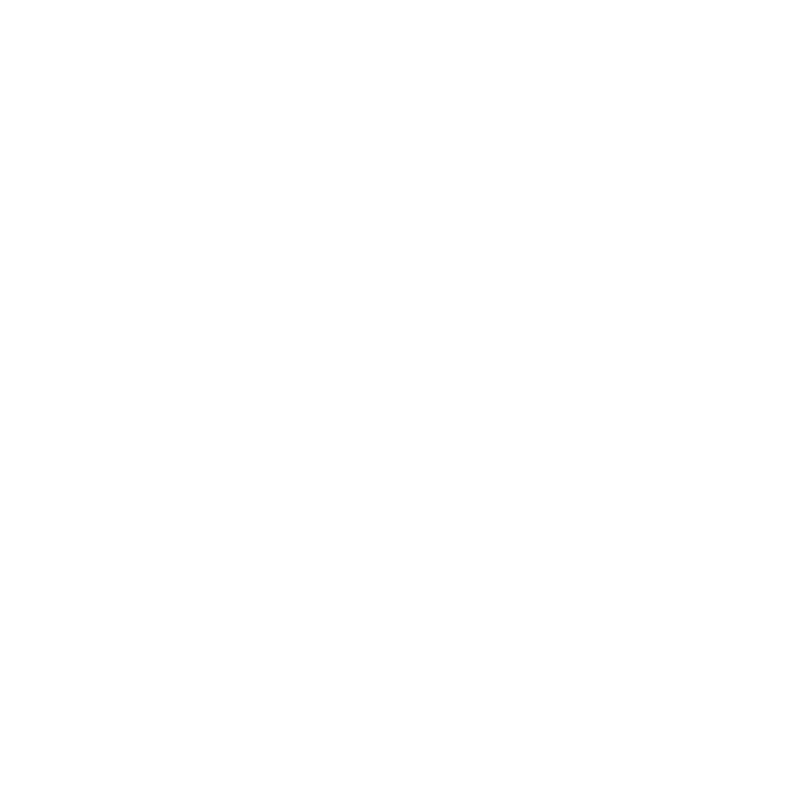 Joe Fox