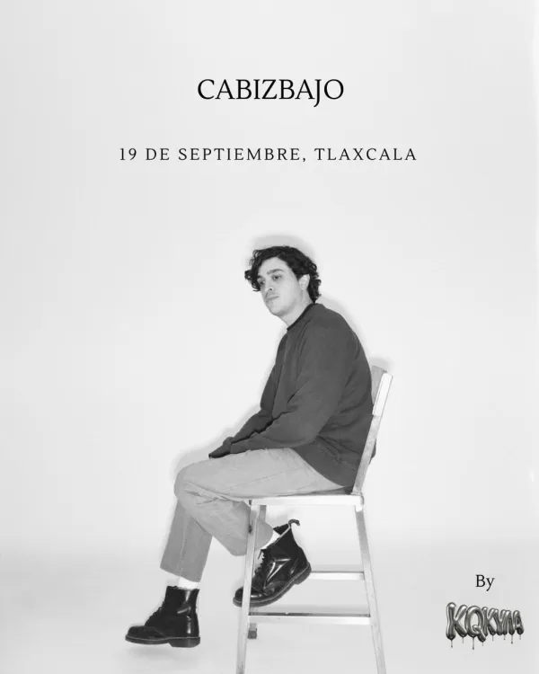 Cabizbajo TLX