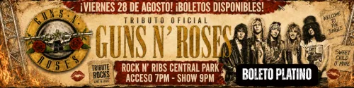 Guns N´ Roses Boleto Platino