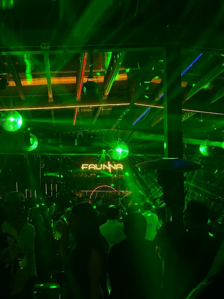 Faunna Rooftop venue