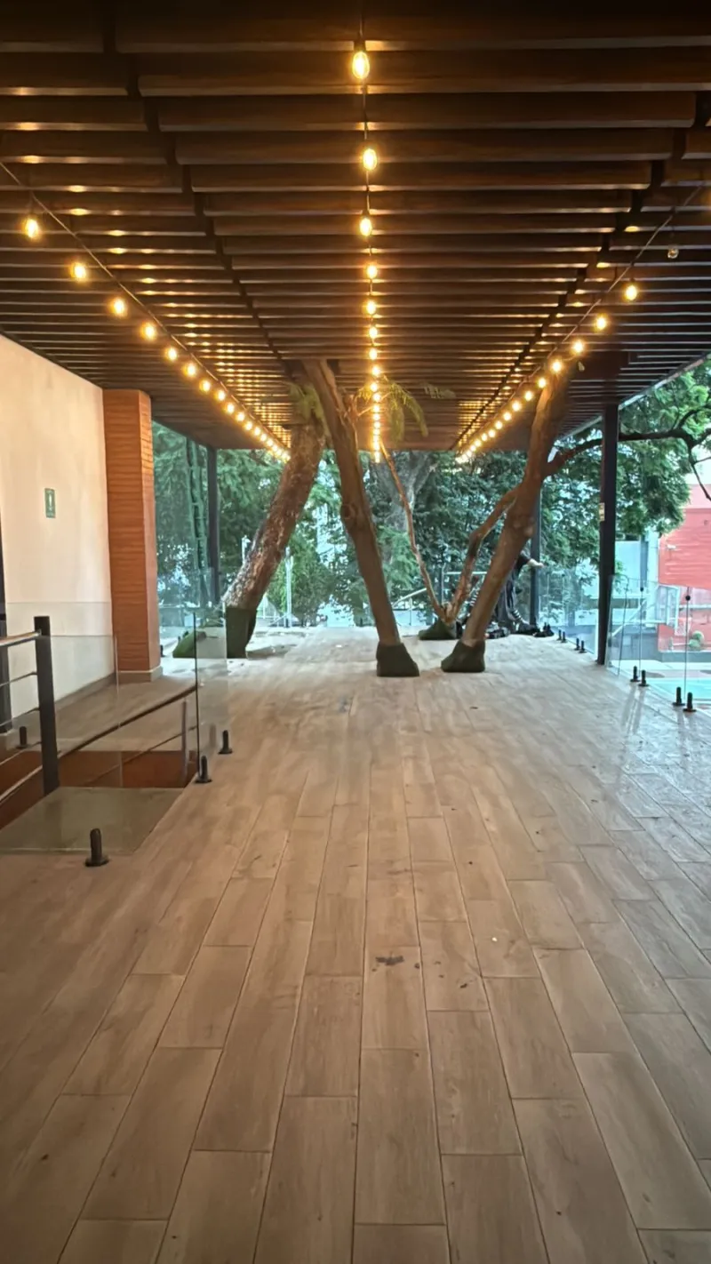 Centro Social y Deportivo Churubusco del SNTSS venue