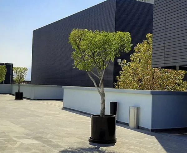 AZTECA ESTUDIOS venue