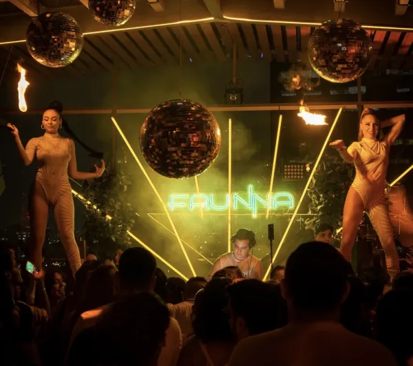 Faunna Rooftop venue