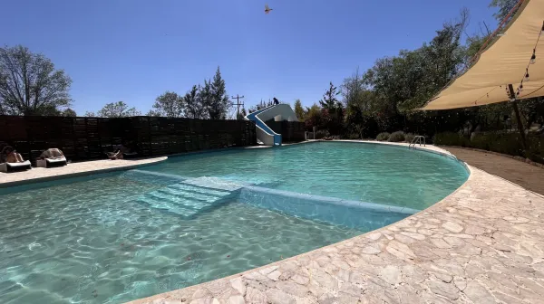 BODEGAS VAIVEN venue