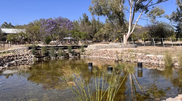 BODEGAS VAIVEN venue