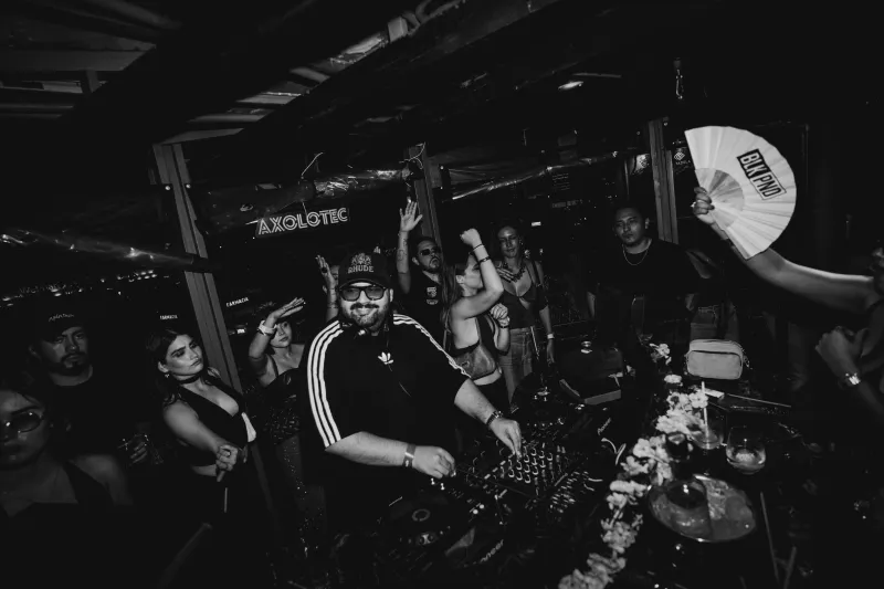 BlackPanda
