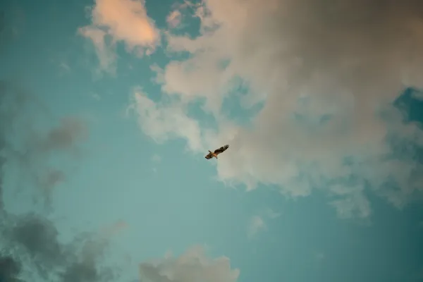 UMi Beach Club, Tulum venue