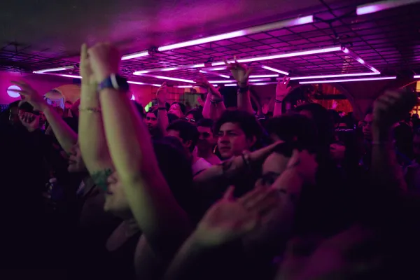 Diente de León venue