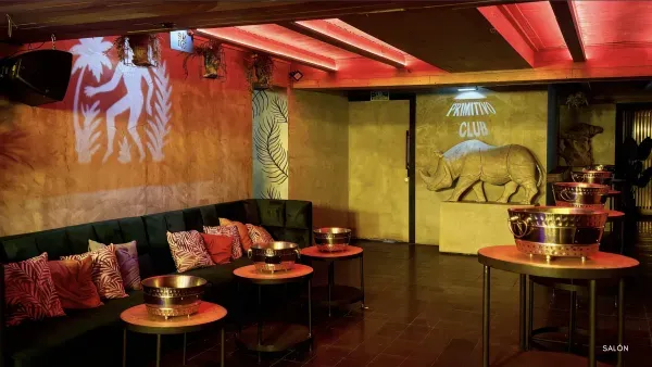 Primitivo club venue
