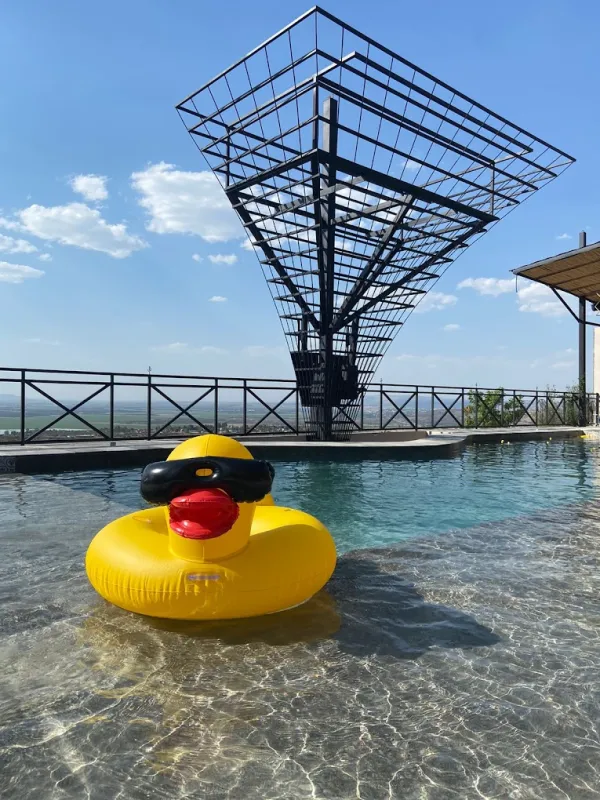 Amelia Day Club venue