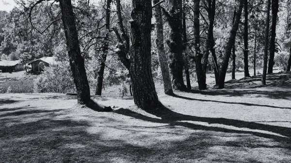 Parque Xindandú, venue