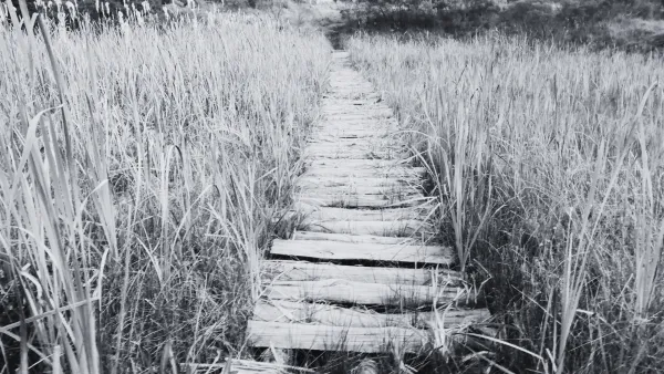 Parque Xindandú, venue