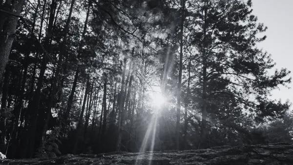 Parque Xindandú, venue