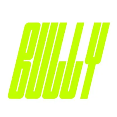 Bully 
