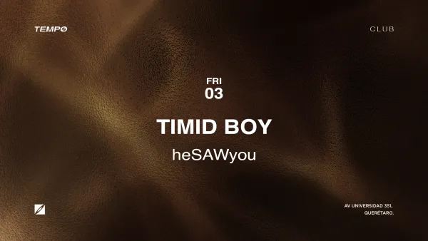 TIMID BOY + heSAWyou