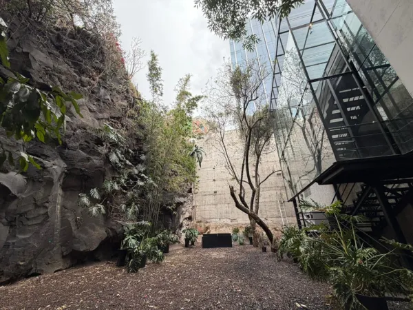 Foro Pedregal venue