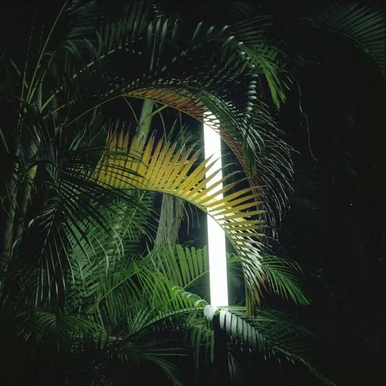 IMMERSIVE LIGHTING ✹