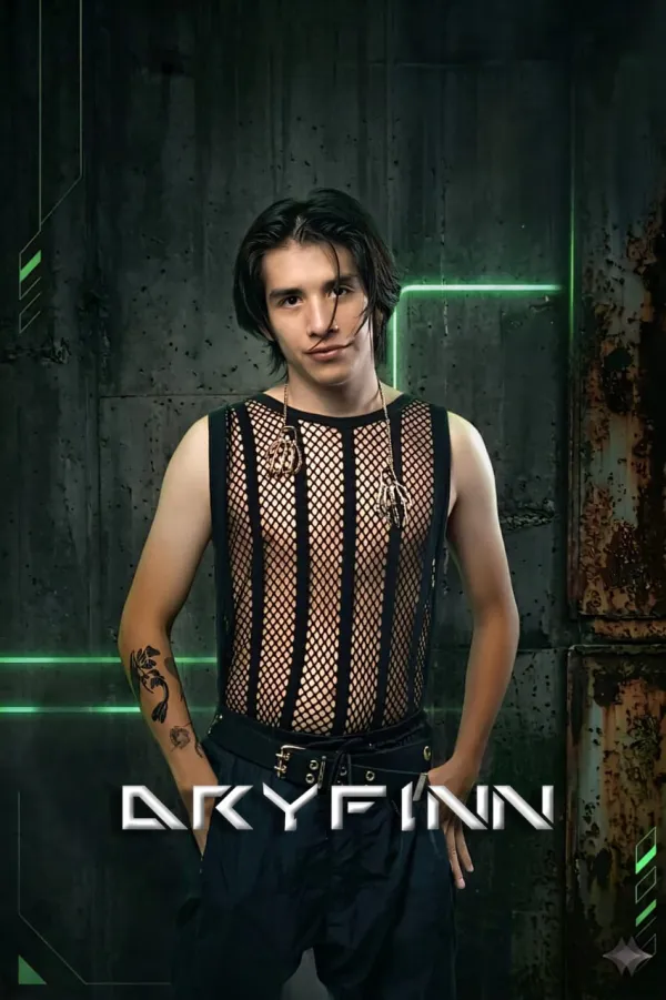 DRYFINN